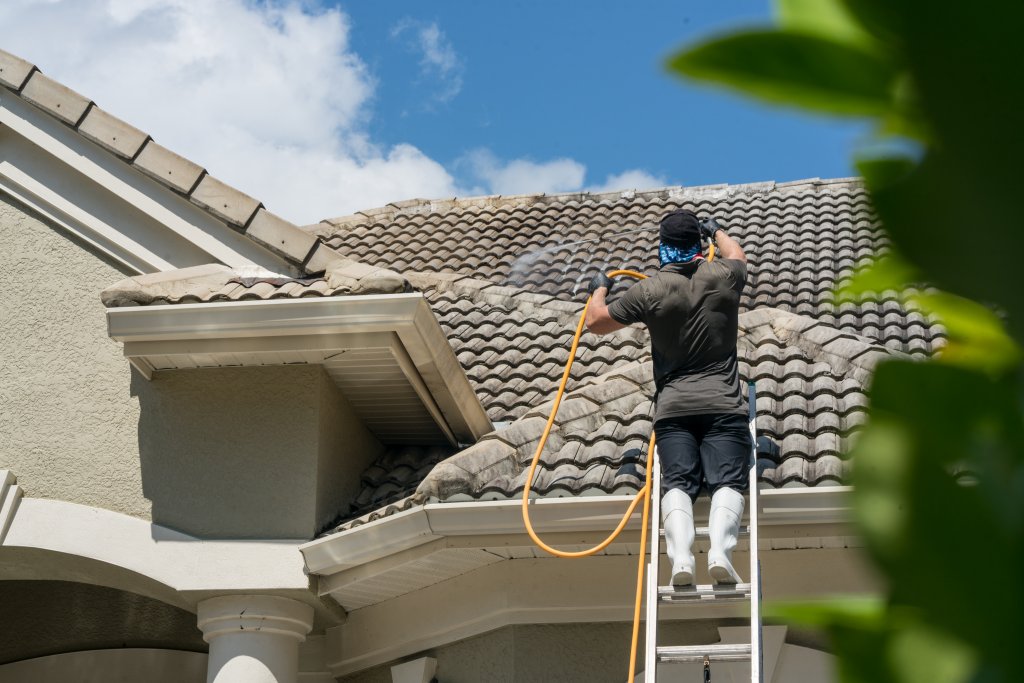 Roof cleaning